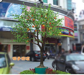 中山优惠的景观树灯哪里买 北京景观树灯